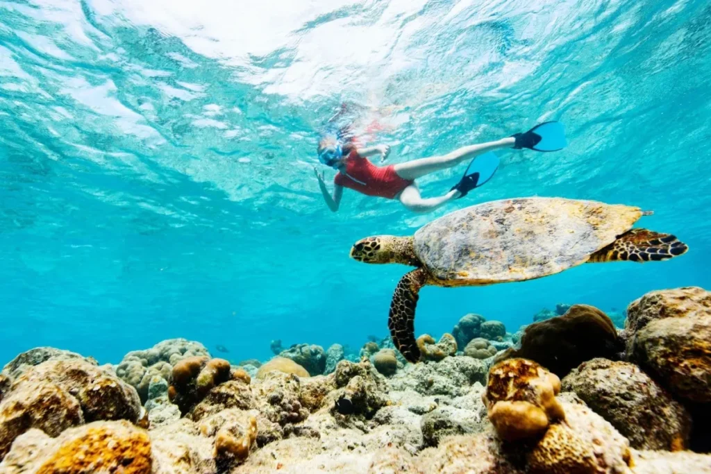 Best Outdoor Activities and Adventures in Hawaii Outdoor Activities