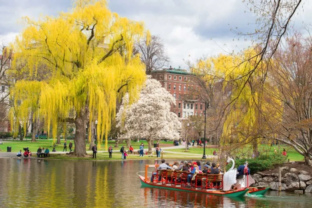 Top Sightseeing Attractions to Explore in Boston Sightseeing Destinations in Boston