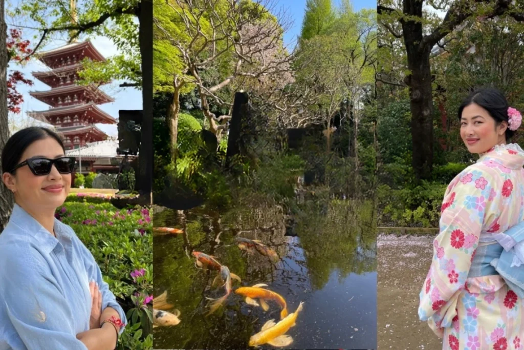 Tokyo Solo Travel Tours