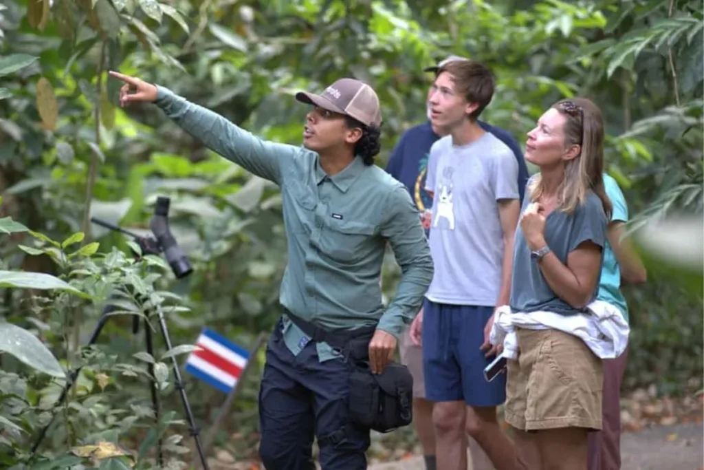Wildlife Tours