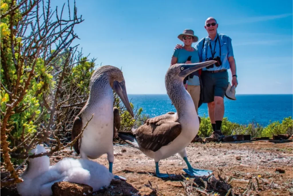 Galapagos Islands Adventures for Wildlife Enthusiasts Galápagos Islands Adventures