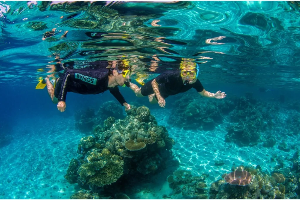 Great Barrier Reef Snorkeling