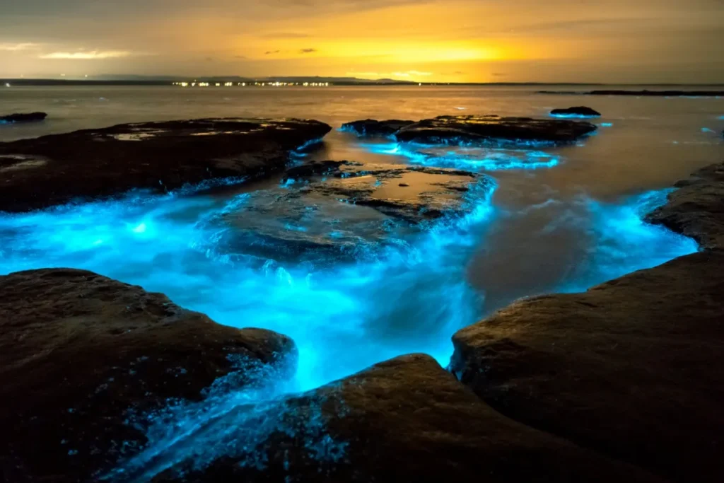 Mosquito Bay Bioluminescence