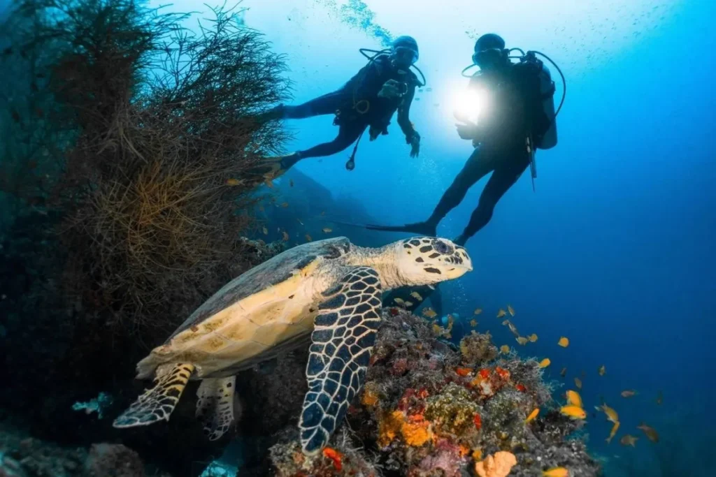 Singapore Marine Tours