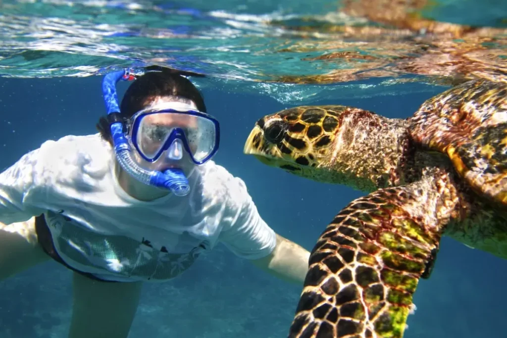 Snorkeling in Fiji