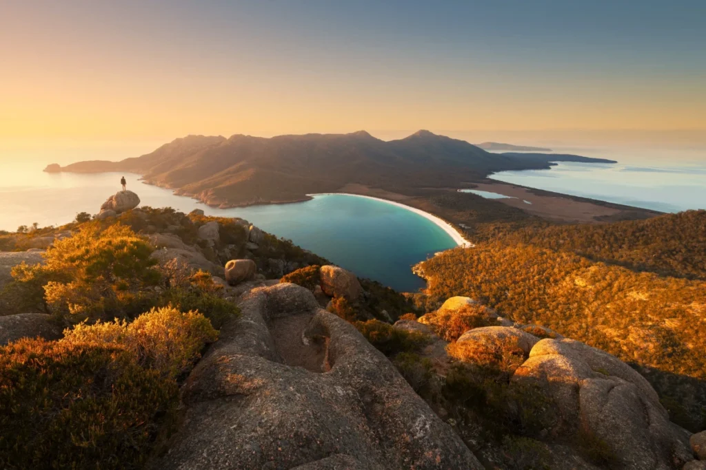 Explore Tasmania’s Wild Landscapes and National Park Wildlife Tasmania Wild Landscapes