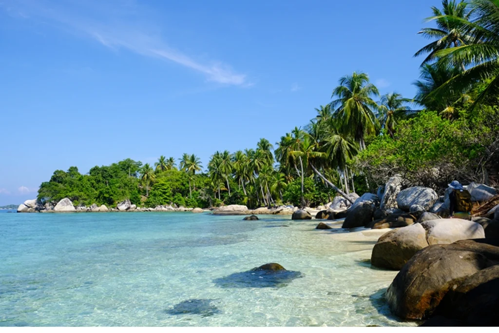 Tropical Getaways