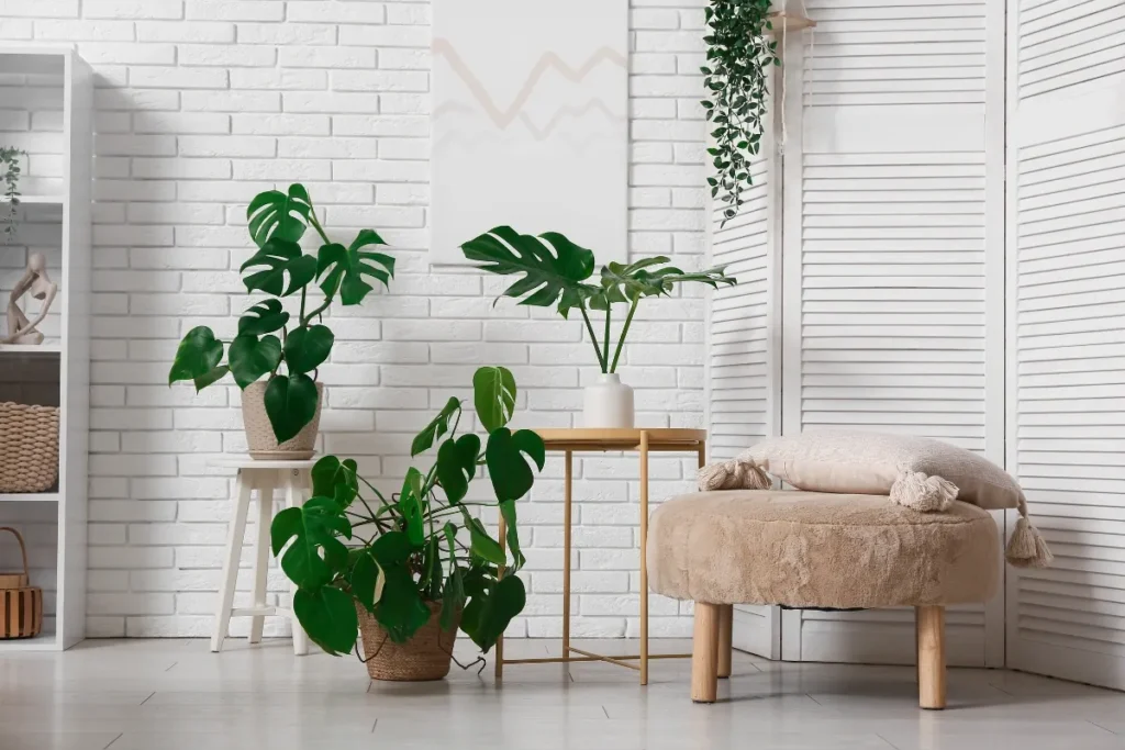 Indoor Plant Decor Trends for Creative Home Styling
